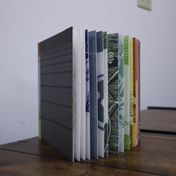 New artists' books from Women's Studio Workshop : Women's Studio