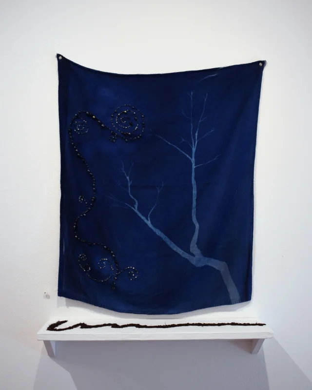Nancy Callahan - Women's Studio Workshop : Women's Studio Workshop